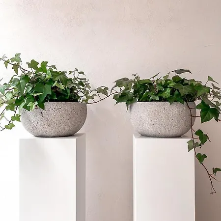 Doux Foyer 4* 데한