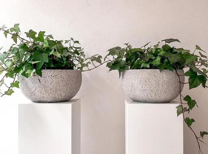 Doux Foyer 4* De Haan